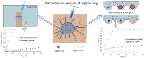 A microfluidic in vitro method predicting the fate of peptide drugs after subcutaneous administration