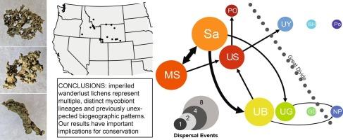 Imperiled wanderlust lichens in steppe habitats of western North America comprise geographically structured mycobiont lineages and a reversal to sexual reproduction within this asexual clade