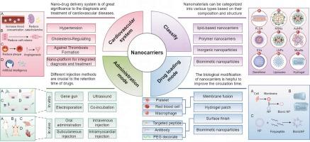 Nanomedicine in cardiology: Precision drug delivery for enhanced patient outcomes