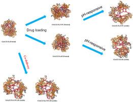 Folic acid-functionalized and acetyl-terminated dendrimers as nanovectors for co-delivery of sorafenib and 5-fluorouracil