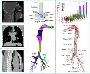 Numerical study on the deposition distribution and mechanism of inhaled drug particles in various regions of the realistic inhaler-airway model