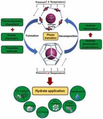 Thermodynamic and kinetic properties of gas hydrate phase transition from formation to decomposition with applications: A review