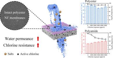 Fabrication of green xylose-based nanofiltration membrane with enhanced performance and chlorine resistance