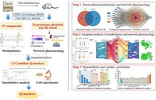 A stepwise integrated strategy to explore quality markers of Qishen Yiqi dripping pills against myocardial ischemia