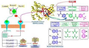 A critical analysis of design, binding pattern and SAR of benzo-fused heteronuclear compounds as VEGFR-2 inhibitors