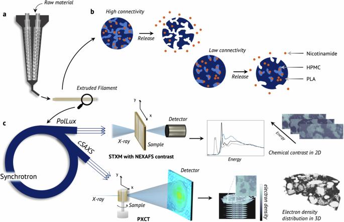 Phase-separated polymer blends for controlled drug delivery by tuning morphology