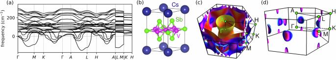 Phonon collapse and anharmonic melting of the 3D charge-density wave in kagome metals