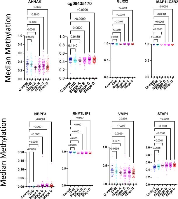 Clinical validation of peripheral blood mononuclear cell DNA methylation markers for accurate early detection of hepatocellular carcinoma in Asian patients