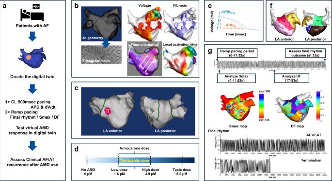 Clinical usefulness of digital twin guided virtual amiodarone test in patients with atrial fibrillation ablation