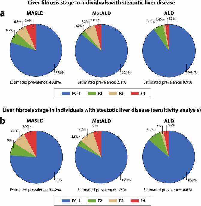 Disparities in steatosis prevalence in the United States by Race or Ethnicity according to the 2023 criteria