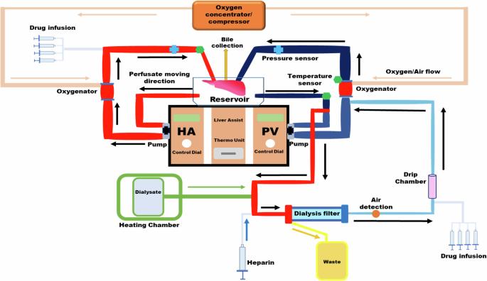 A reproducible extended ex-vivo normothermic machine liver perfusion protocol utilising improved nutrition and targeted vascular flows