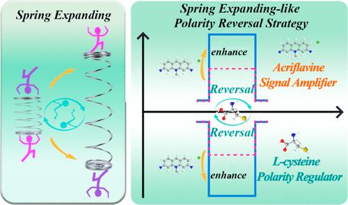 Spring Expanding-like Polarity Reversal in Photoelectrochemical Biosensing