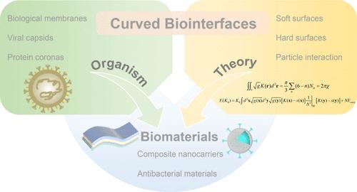 Self-Assembly at Curved Biointerfaces