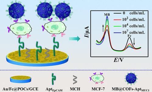 Dual Recognition Strategy-Based Ratiometric Electrochemical Assay for Ultrasensitive and Accurate Detection of Specific Circulating Tumor Cells