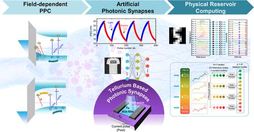 Physical Reservoir Computing Using Tellurium-Based Gate-Tunable Artificial Photonic Synapses