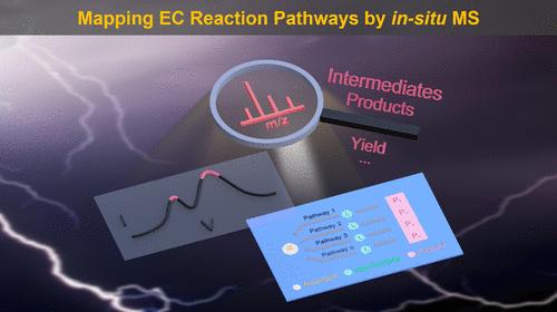 Mapping Reaction Pathways by In Situ Step Sweep Voltammetry Flow Electrochemical Mass Spectrometry