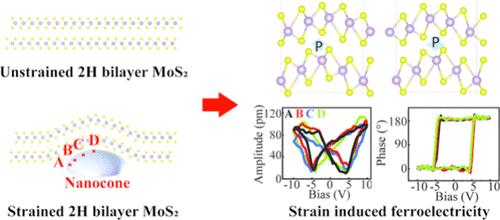 Strain-Engineered Ferroelectricity in 2H Bilayer MoS2