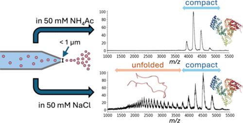 Is Native Mass Spectrometry in Ammonium Acetate Really Native? Protein Stability Differences in Biochemically Relevant Salt Solutions