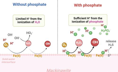 Phosphate-Induced Acidic Microenvironment for Improved Contaminant Removal during FeS Oxygenation