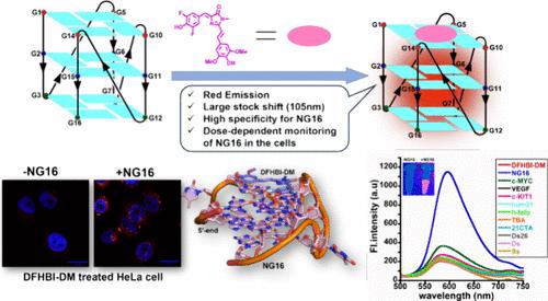 Selective Recognition of the Dimeric NG16 Parallel G-Quadruplex Structure Using Synthetic Turn-On Red Fluorescent Protein Chromophore