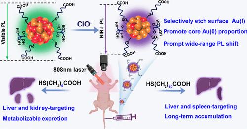 Expanding the Toolbox of Oxidants: Controllable Etching of Ultrasmall Au Nanoparticles toward Tailorable NIR-II Luminescence and Ligand-Mediated Biodistribution and Clearance