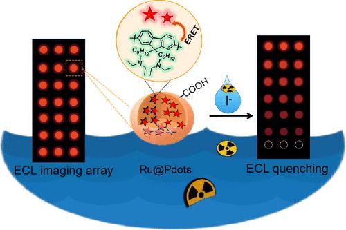Self-Enhanced Electrochemiluminesence of Dye-Doped Polymer Dots for Coreactant-Free Visualized Detection of Iodide Ions