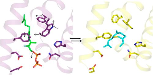 Crystal Structure of Caryolan-1-ol Synthase, a Sesquiterpene Synthase Catalyzing an Initial Anti-Markovnikov Cyclization Reaction