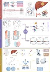 The impact of cathepsins on liver hepatocellular carcinoma: Insights from genetic and functional analyses