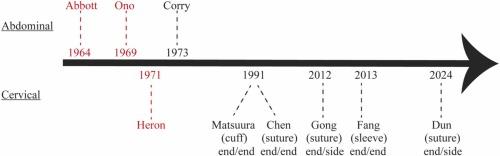 Cervical heterotopic heart transplantation in mice using a novel suture technique