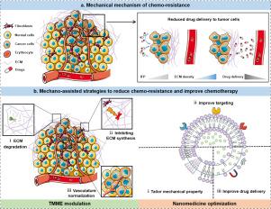 Mechano-assisted strategies to improve cancer chemotherapy