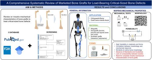 A comprehensive systematic review of marketed bone grafts for load-bearing critical-sized bone defects