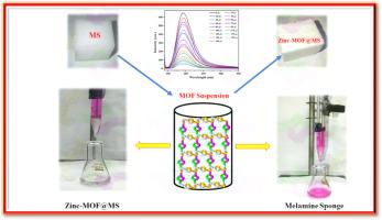 Development of colorimetric probe using robust zinc-MOF and its consistent melamine sponge composite: Instantaneous N3–, La3+ sensing and degradation applications