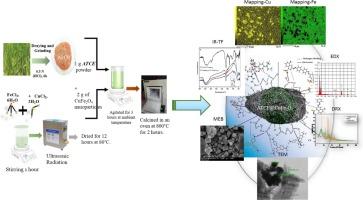 Enhanced cationic/anionic dyes removal in wastewater by green nanocomposites synthesized from acid-modified biomass and CuFe2O4 nanoparticles: Mechanism, Taguchi optimization and toxicity evaluation