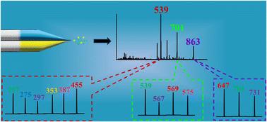 Differentiation of oligosaccharide isomers by direct infusion multidimensional mass spectrometry†