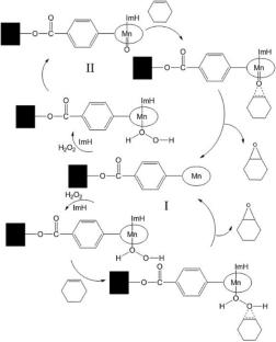 Covalent attachment of Mn-porphyrin onto functionalized activated carbon for green oxidation of olefins