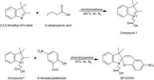 Preparation and Performance Evaluation of Spiropyran-Labeled Fluorescent Chitosan Electrospun Anti-Counterfeiting Nanofibers