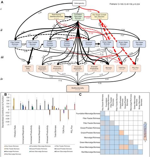 Topographic heterogeneity triggers complementary cascades that enhance ecosystem multifunctionality