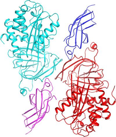 Improving the diffraction quality of heat-shock protein 47 crystals