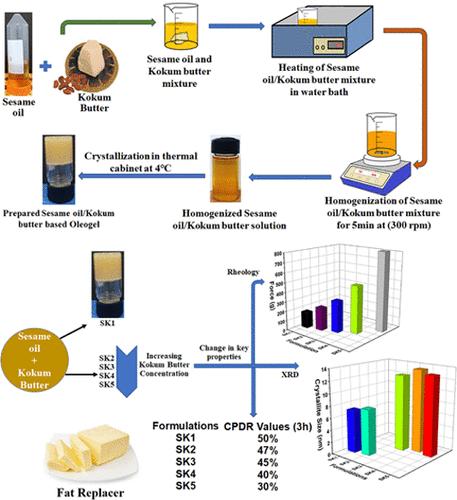 Kokum Butter and Sesame Oil-Based Oleogels as Novel Nutraceutical Delivery Systems