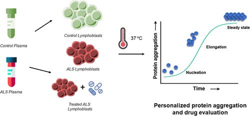 Proteome Aggregation in Cells Derived from Amyotrophic Lateral Sclerosis Patients for Personalized Drug Evaluation