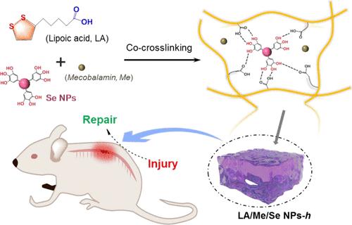 Nanozyme Hydrogels Promote Nerve Regeneration in Spinal Cord Injury by Reducing Oxidative Stress
