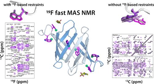 Integrating 19F Distance Restraints for Accurate Protein Structure Determination by Magic Angle Spinning NMR Spectroscopy