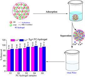 Poly (acrylic acid-co-2-hydroxyethyl methacrylate)-grafted gum ghatti hydrogel for capturing heavy metal ions