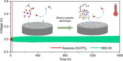 A binary eutectic electrolyte design for high-temperature interface-compatible Zn-ion batteries