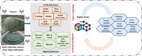 Reinvigorating algal cultivation for biomass production with digital twin technology - a smart sustainable infrastructure