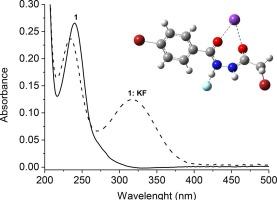 Hydrazide chemosensor detects fluoride ions cooperatively for binding fluoride and potassium ions