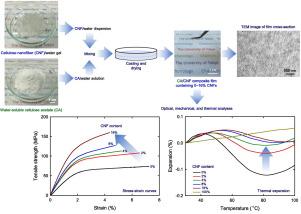 Preparation and characterization of nanocellulose-reinforced water-soluble cellulose acetate films