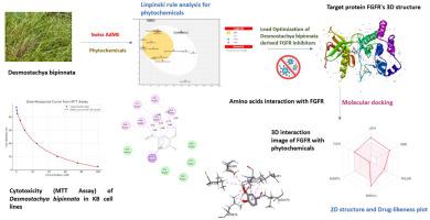 Virtual screening and lead optimization of Desmostachya bipinnata-derived FGFR inhibitors for oral squamous cell carcinoma management