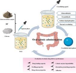 Chitosan-melanin complex microsphere: A potential colonic delivery system for protein drugs