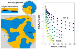 Confined bicontinuous microemulsions: nanoscale dynamics of the surfactant film†‡